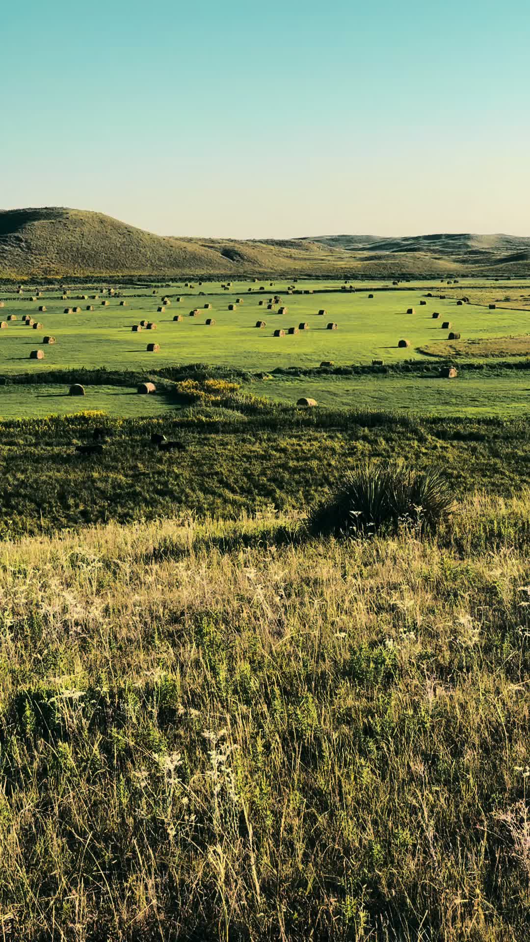 @Huffmanranch