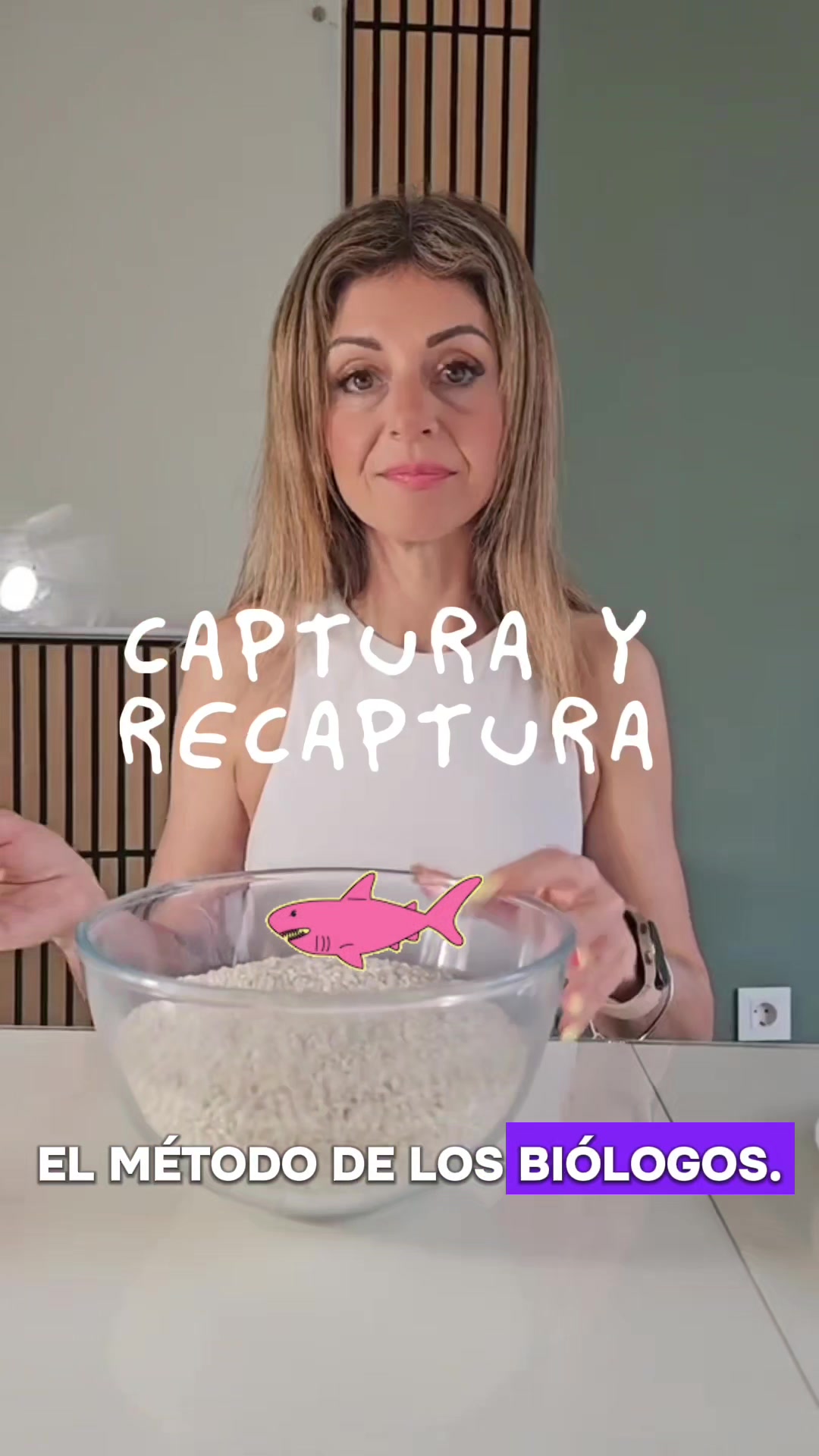 @Beaclases