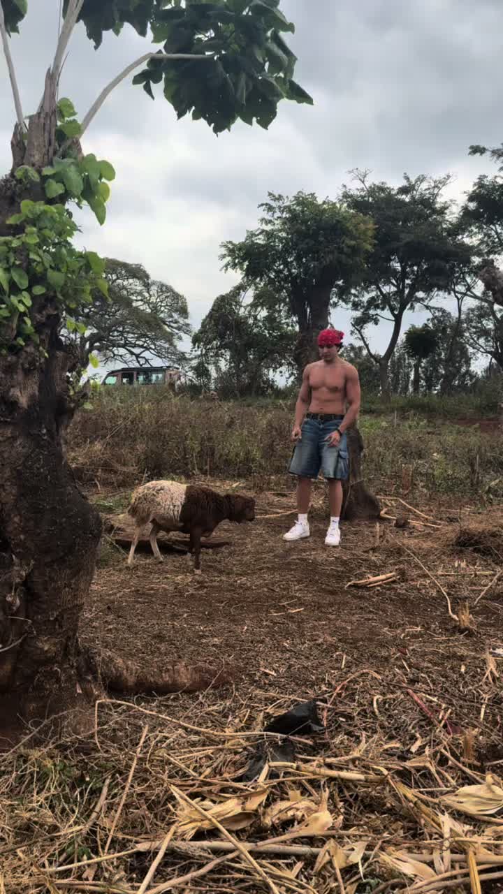 @ricardomilosjr