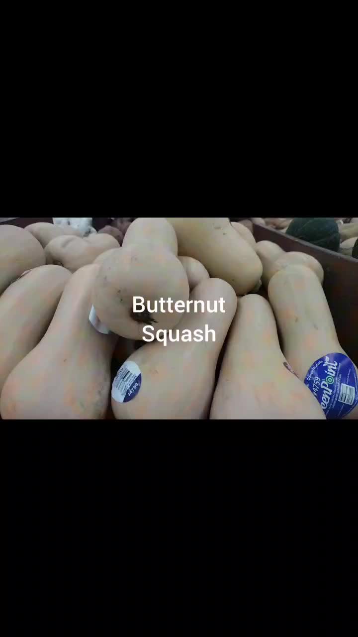 @IngredientBasics