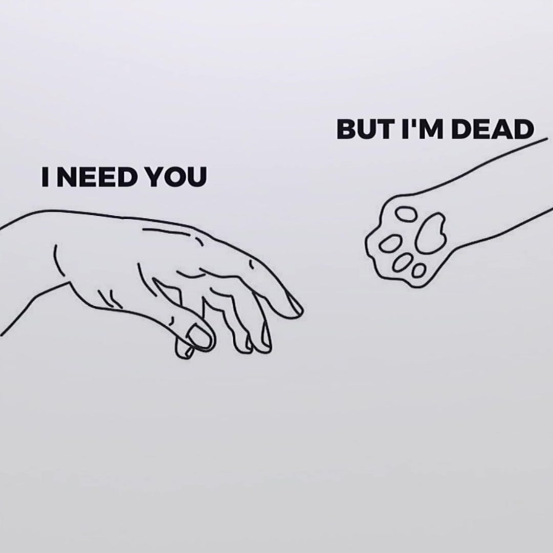 @Aster/Erin
