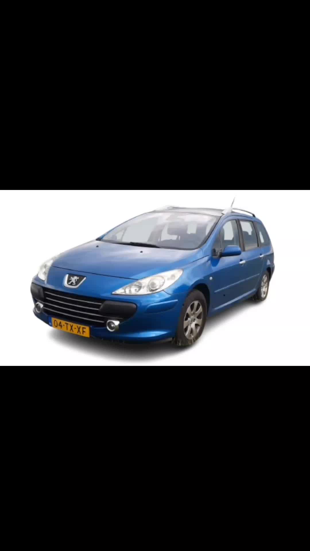@🔵CEO_of_peugeot🔵