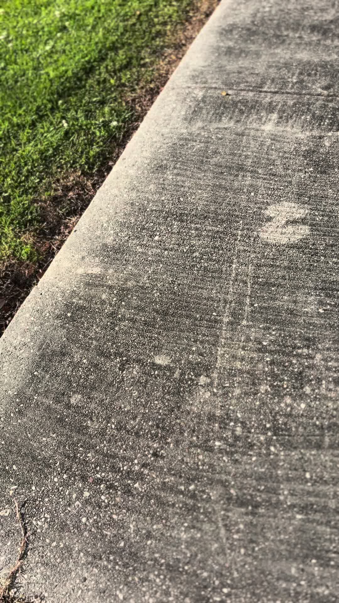 @Ryan🦭