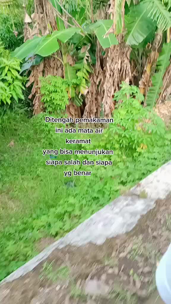 @Mei Sukmawan