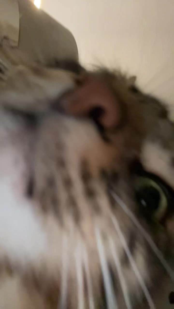 @MyShitMadeMeBustANut