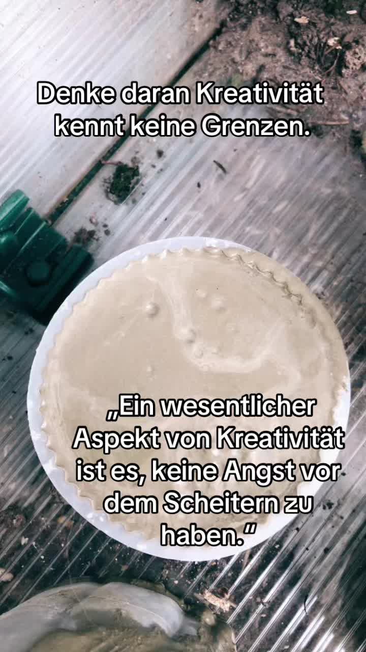 @_pflanzen_magie_
