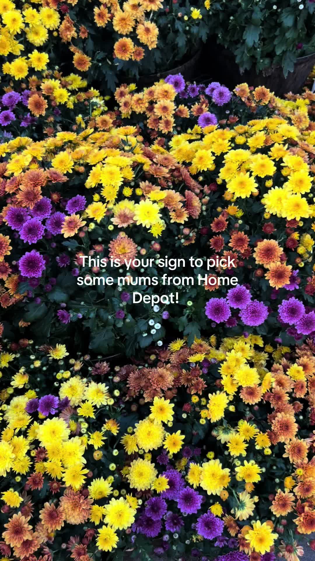 @gardeninginoside