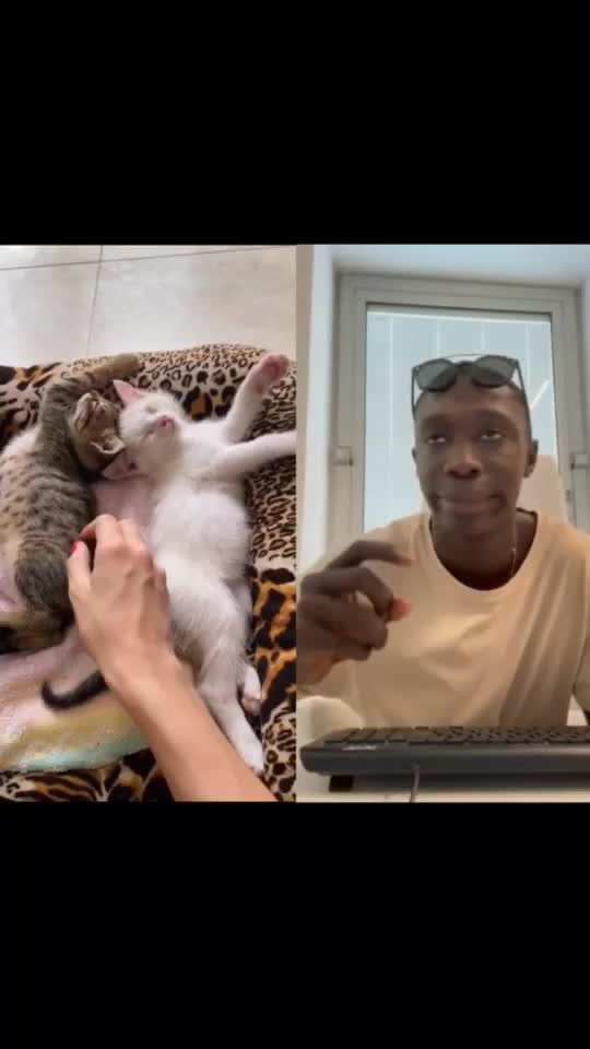 @cutecatterr