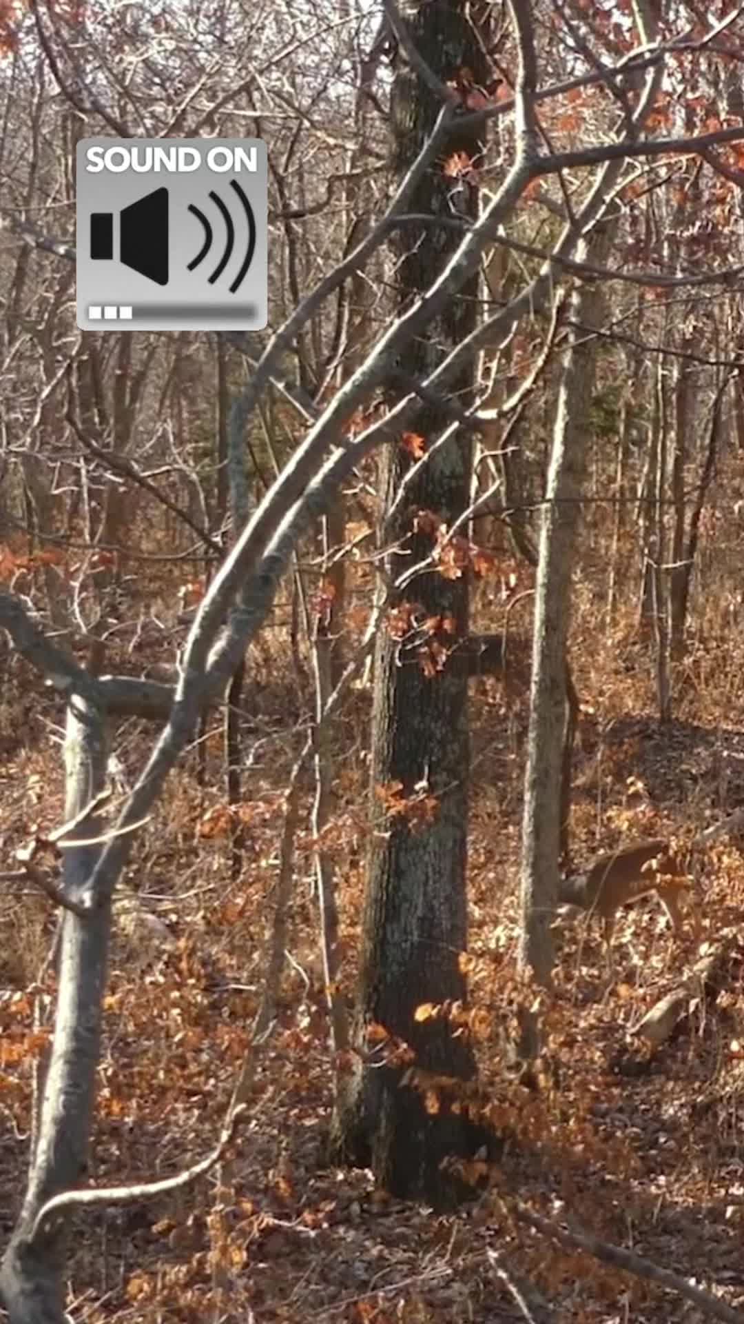 @Tactical Approach Outdoors LLC