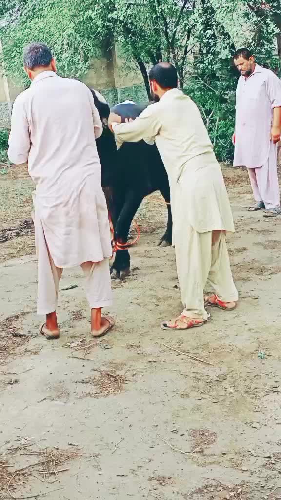 @Awais Malik follow me 💞💞💞🔥