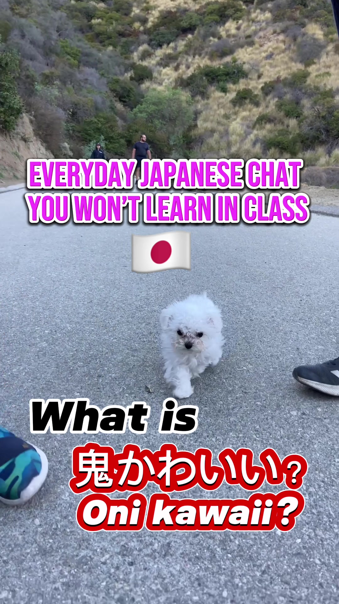 @mayjapanese