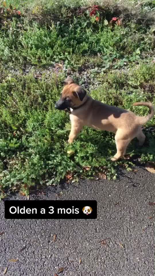@Charline Jallon 🇫🇷