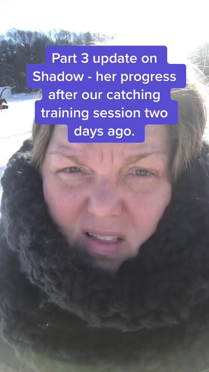 @Spirithorsecentermn