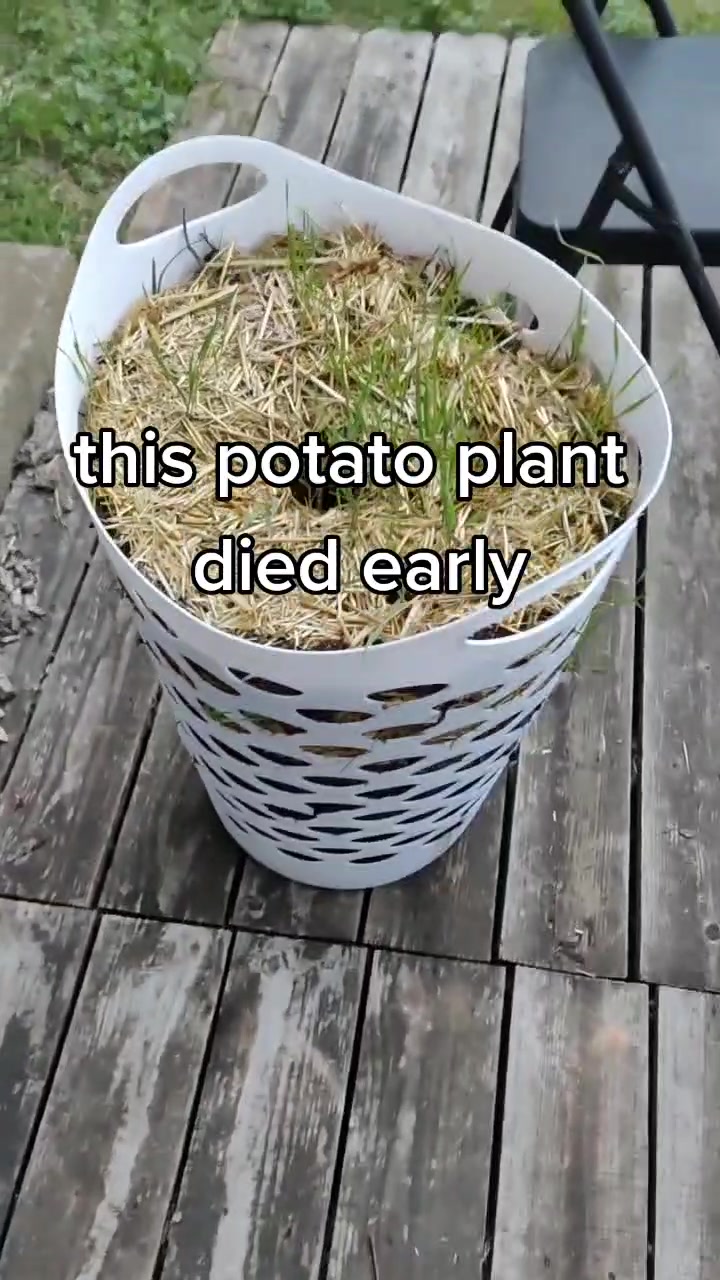 @sarahkillsplants
