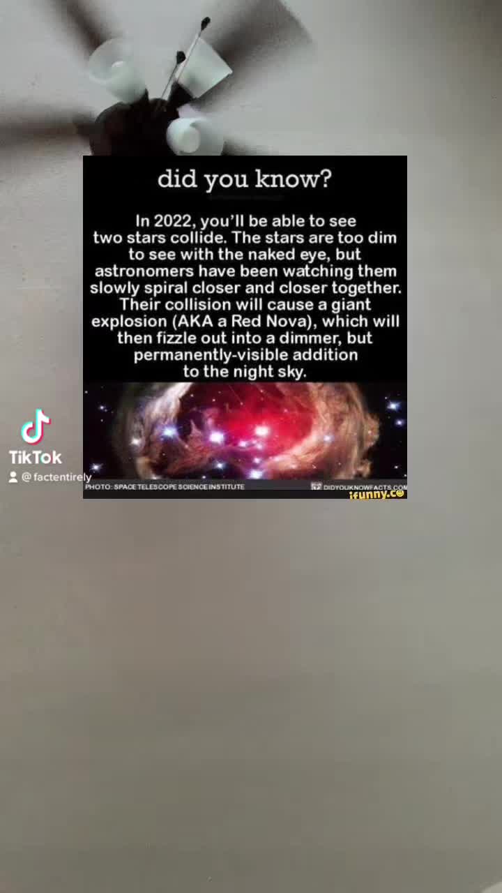 @coolfacts