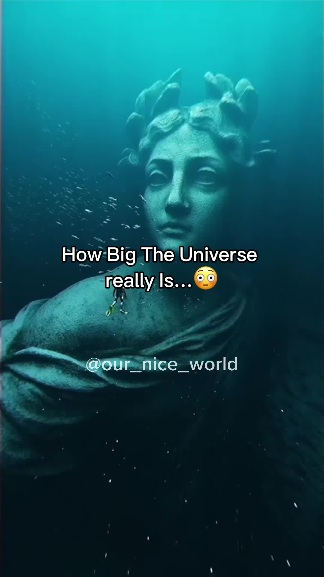 @Our Nice World 🌎