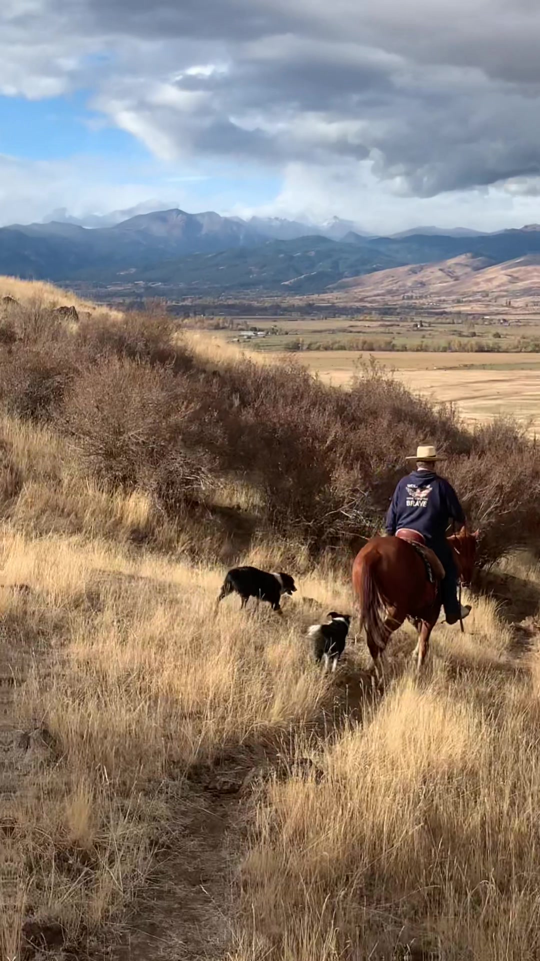 @Cowboytok