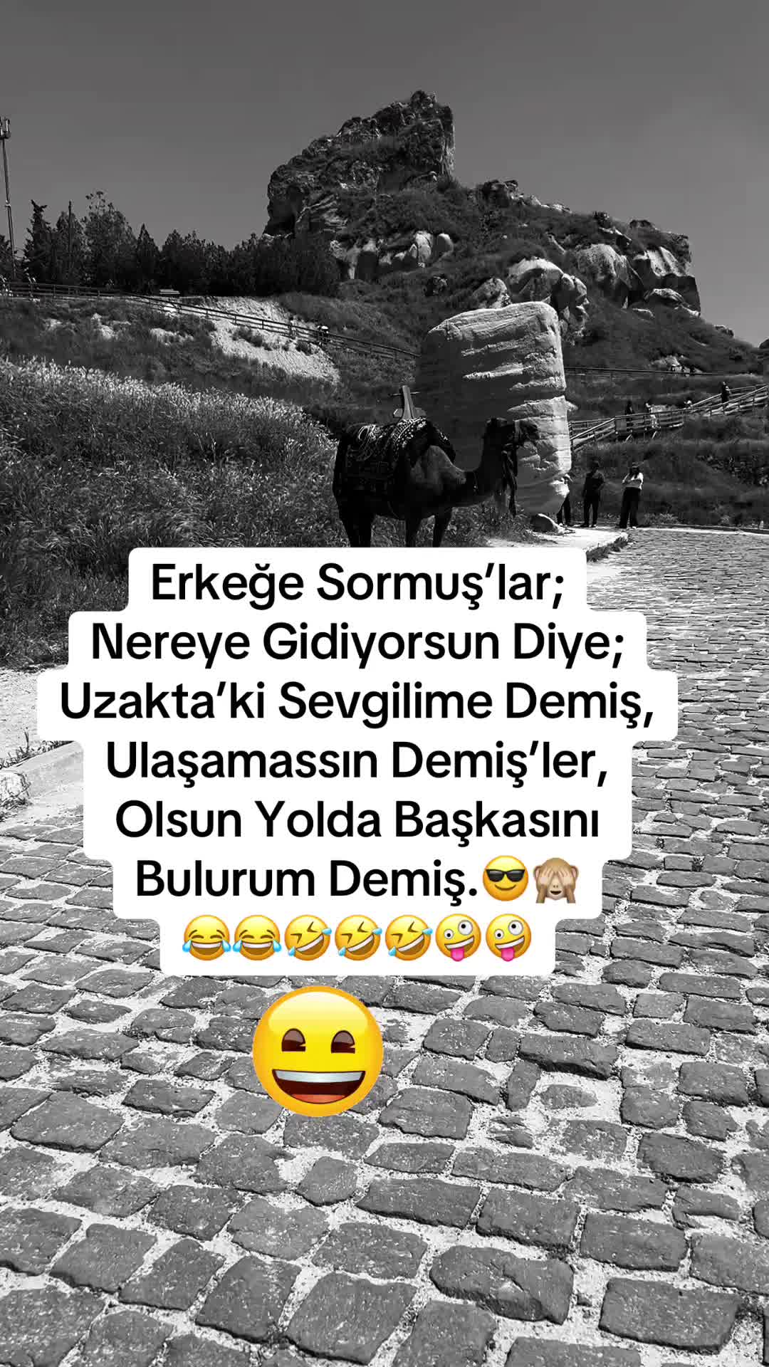 @✨🤍Ayliz_S🤍✨