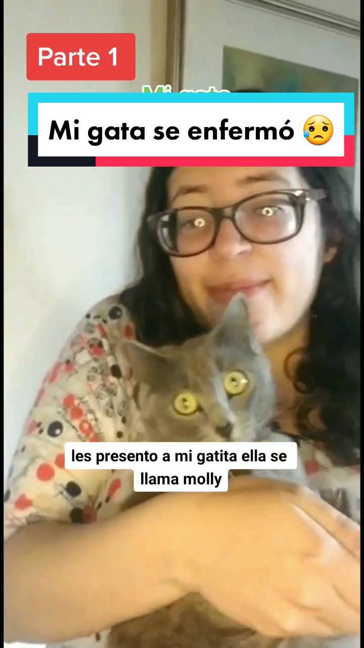 @delimascotas