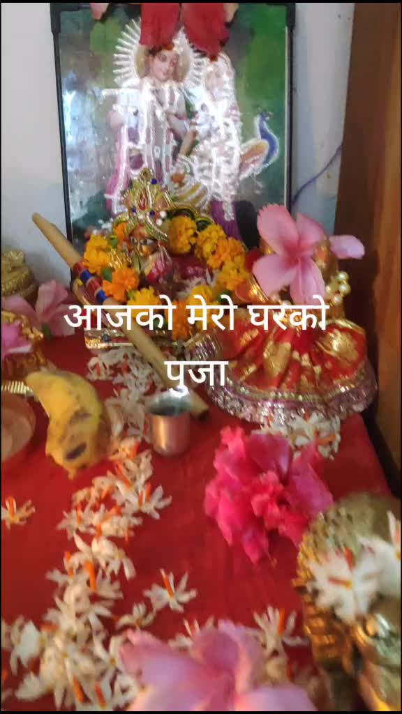 @Nita Sharma