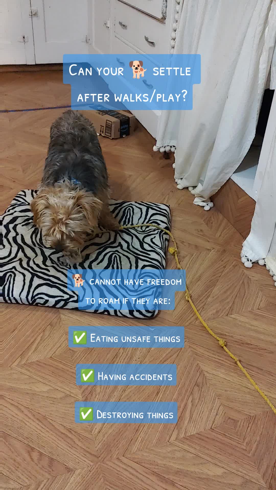 @TeachersPetSitting