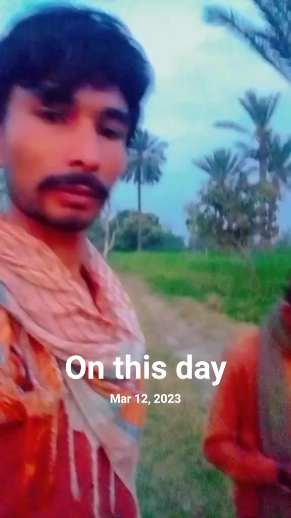 @mismail9184