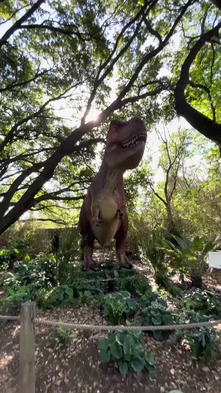 @Hubertcampbelltravels