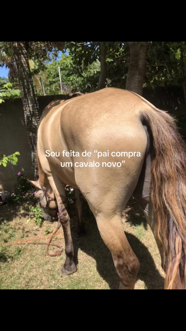 @Pᥱ́r᥆ᥣᥲ ᥱ ᥴᥲ&rho;&iota;tᥲ̃᥆
