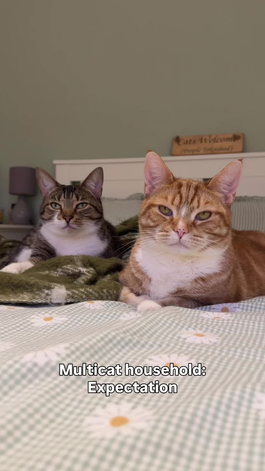 @lola_and_popps