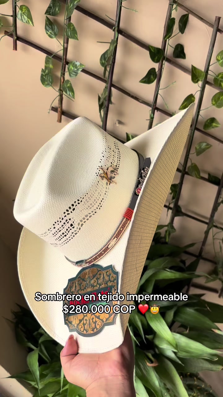 @universal_de_equinos
