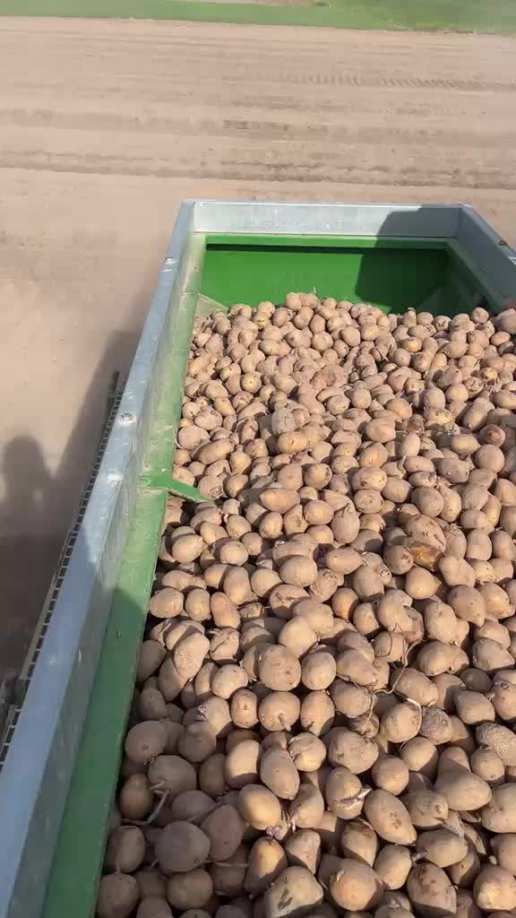 @RuralFlow🌾🐑🥔