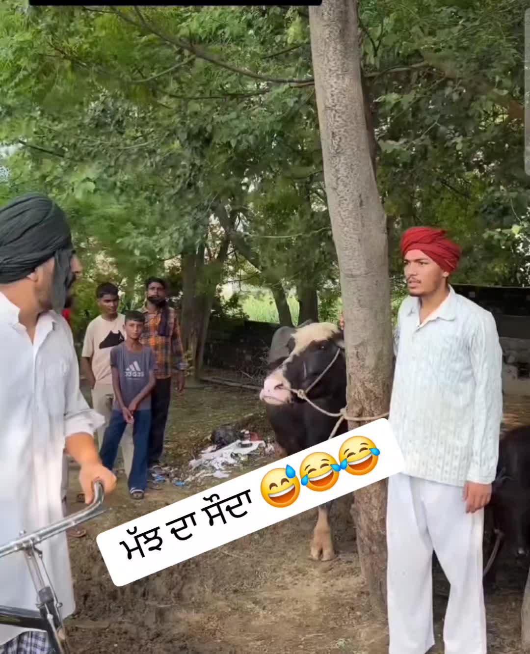 @parasmultani