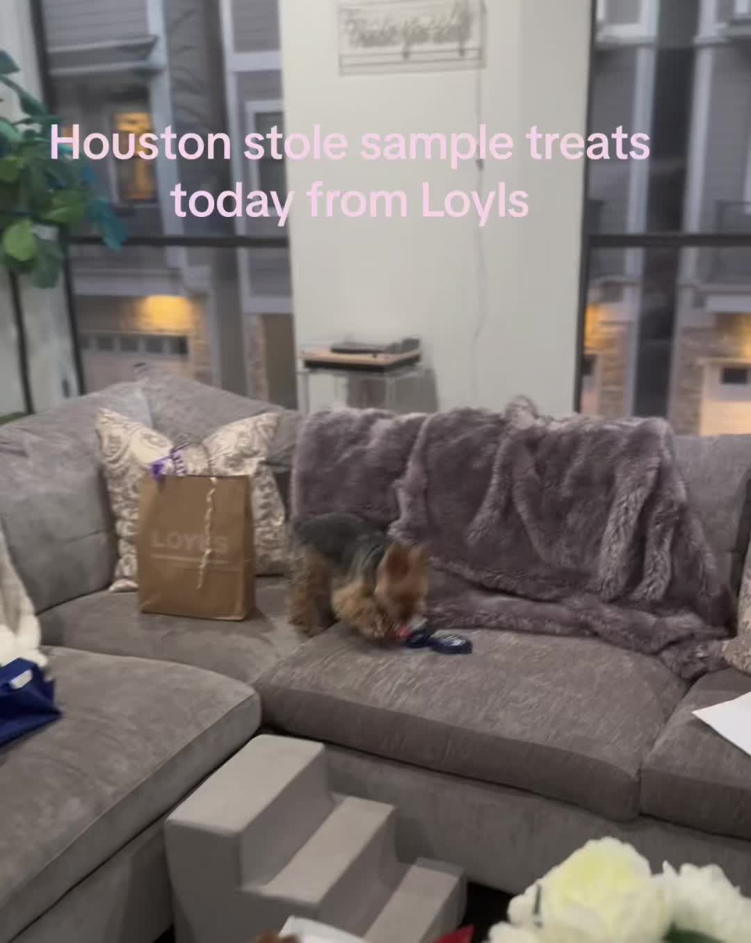 @Houston