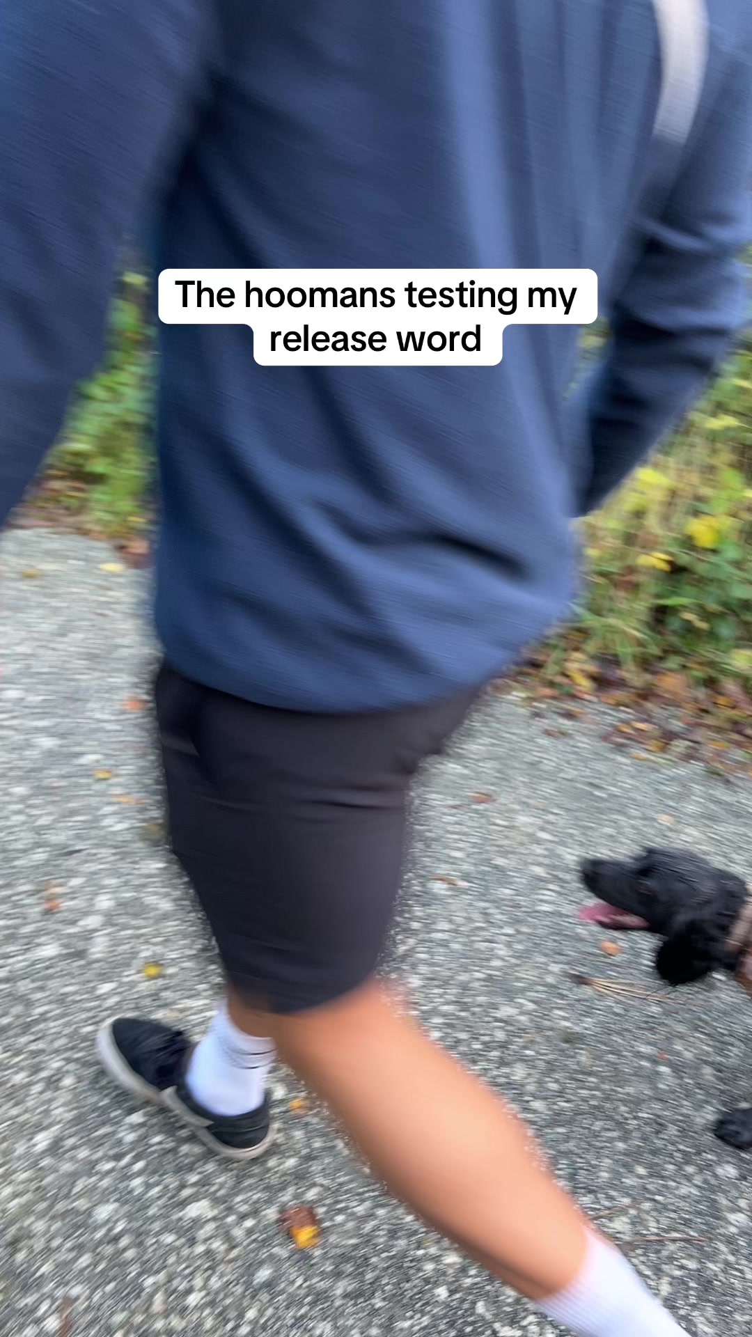 @maggie.moo.cocker
