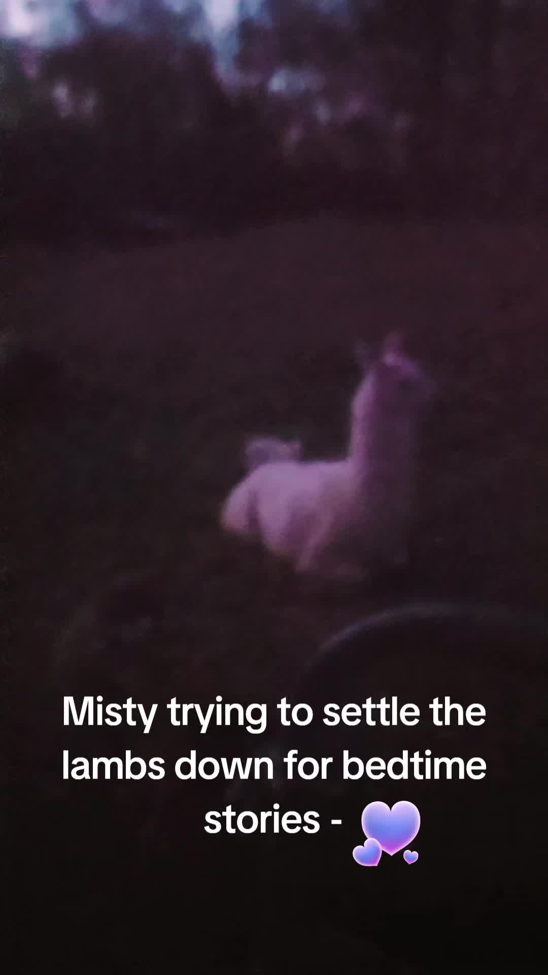 @MistythevLlamahowtos