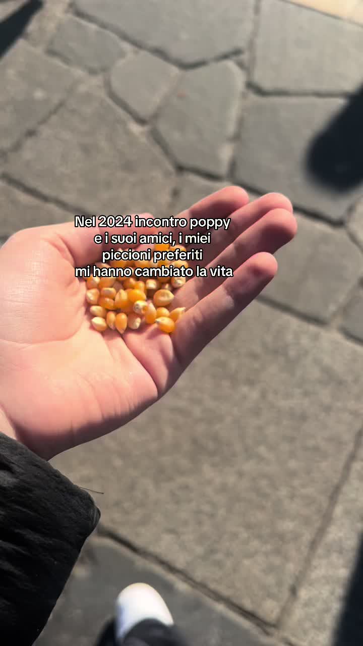 @sofi