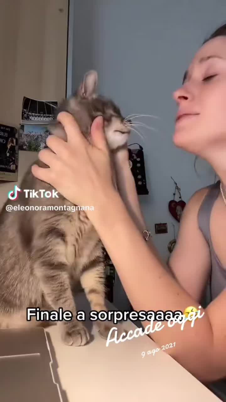 @jusy 69