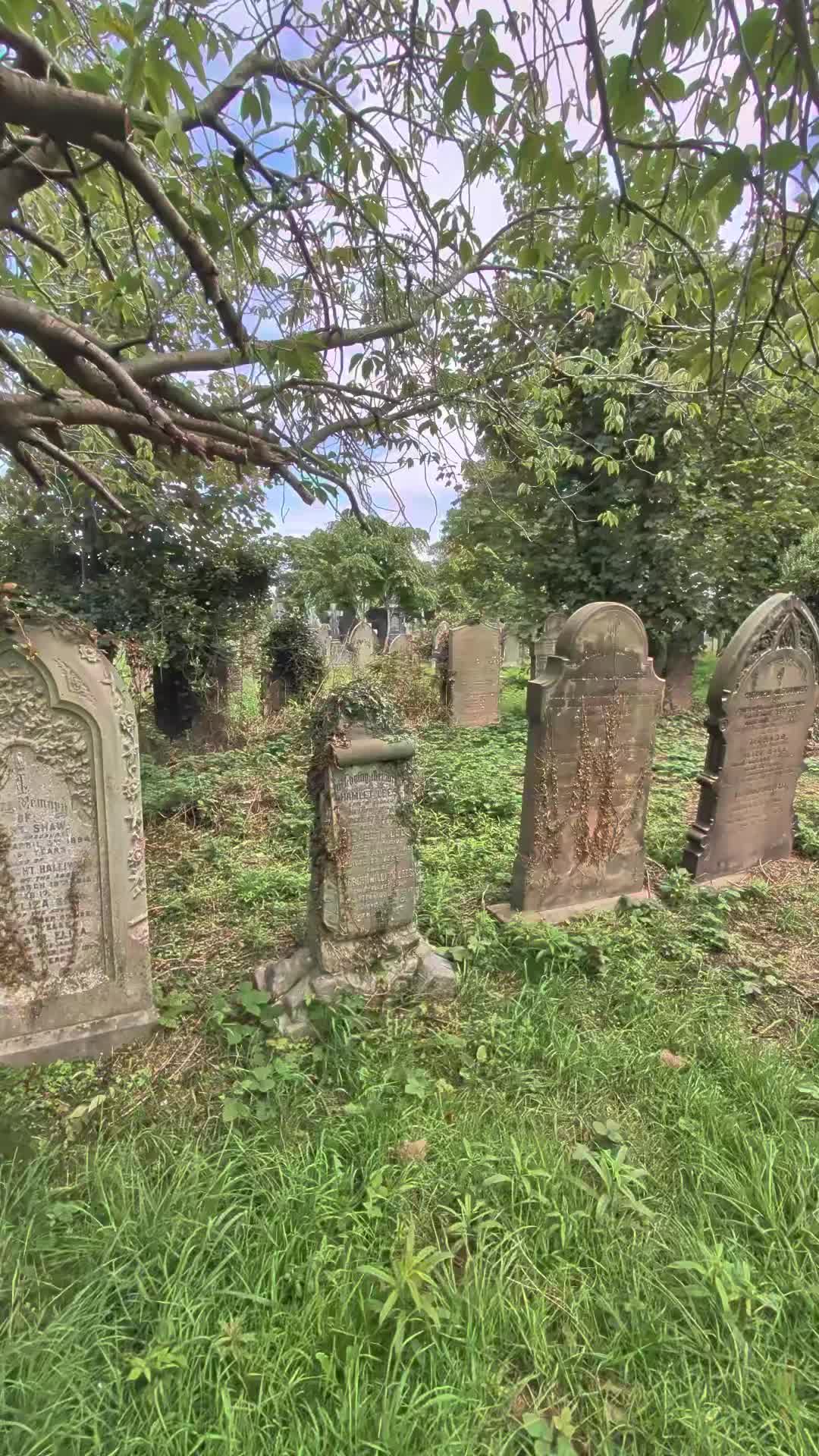 @GraveSnape🪦
