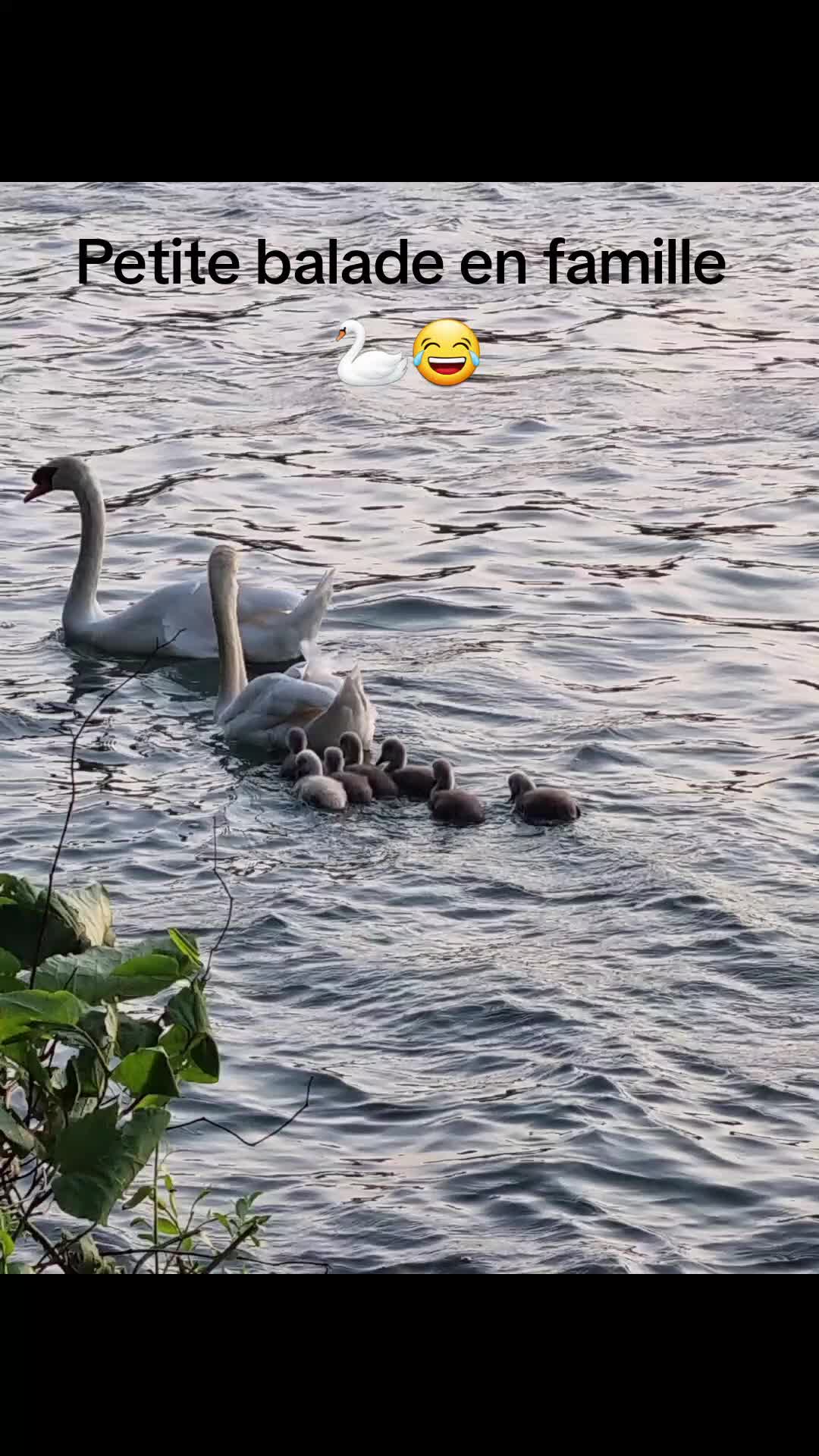 @𝓔𝓶𝓲𝓵𝔂🐦🔥