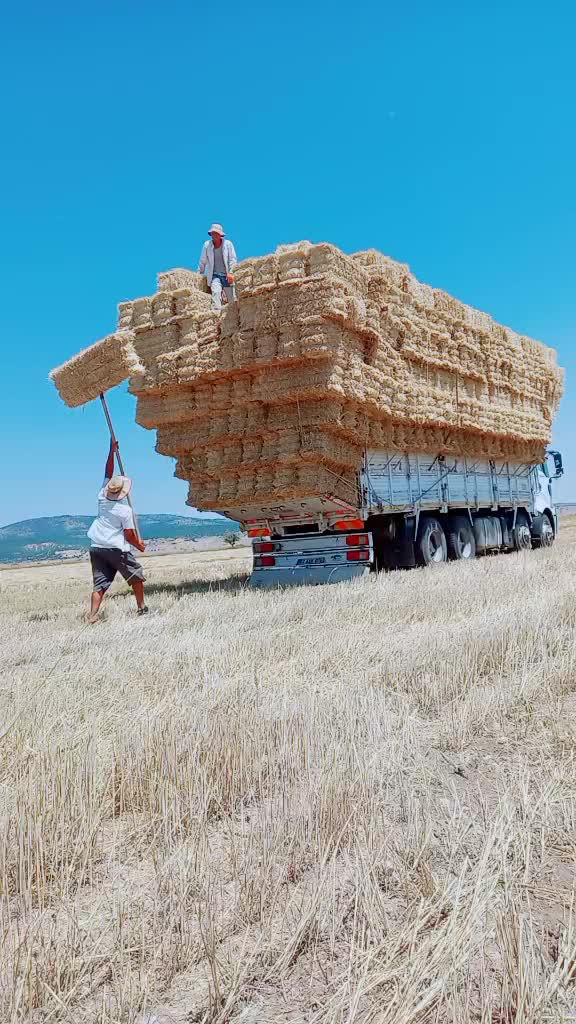 @Cavit G&uuml;reş&ccedil;i