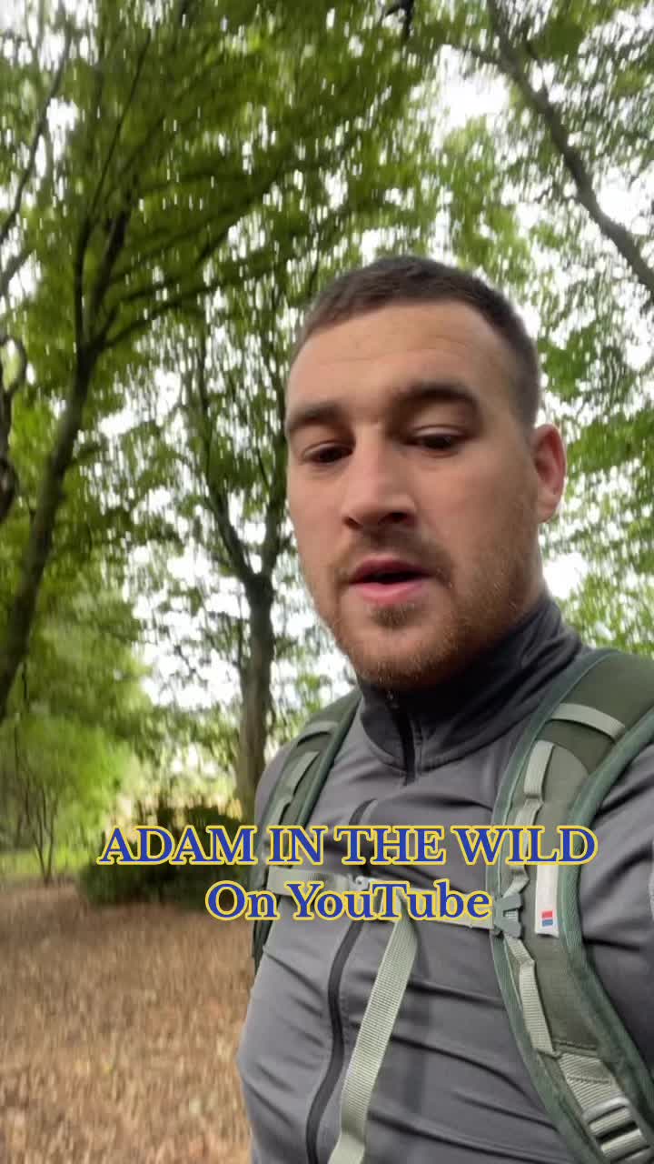@Adam in the wild