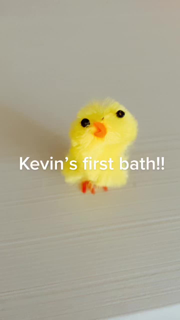 @kevin_the_chick_