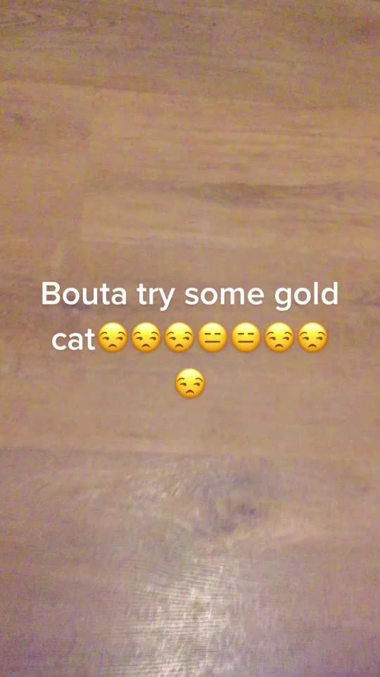 @CoolKitCat