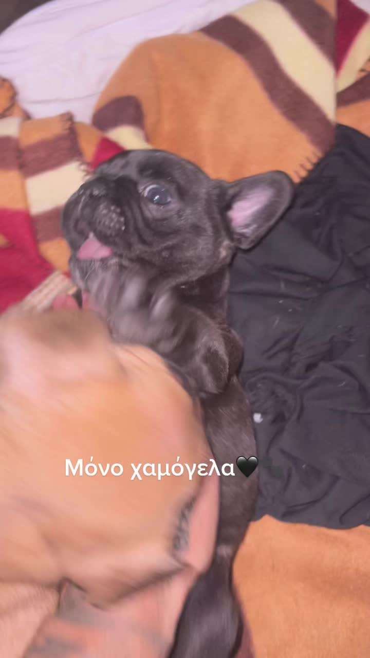 @Manos Syntichakis 🏴☠️