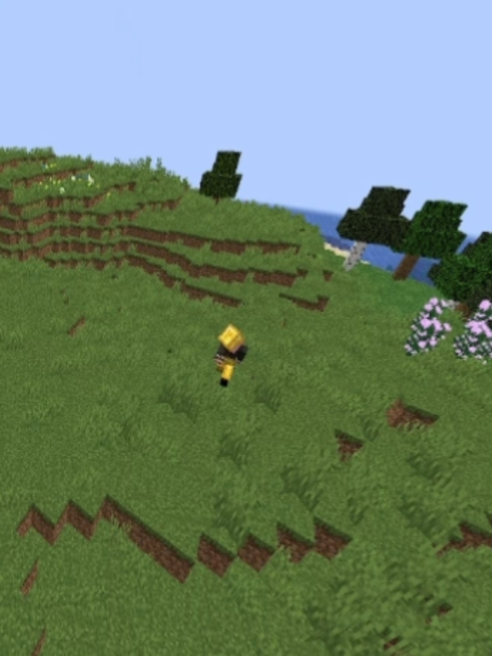 @1bedwars4_zxc_pro88