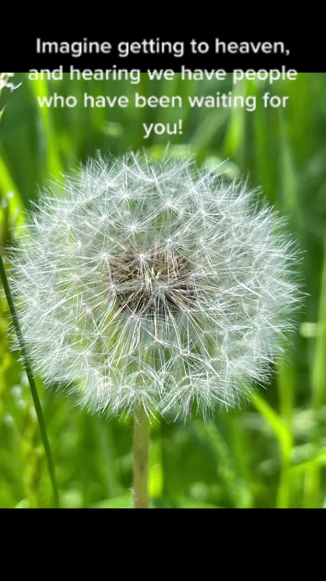 @Amylesko
