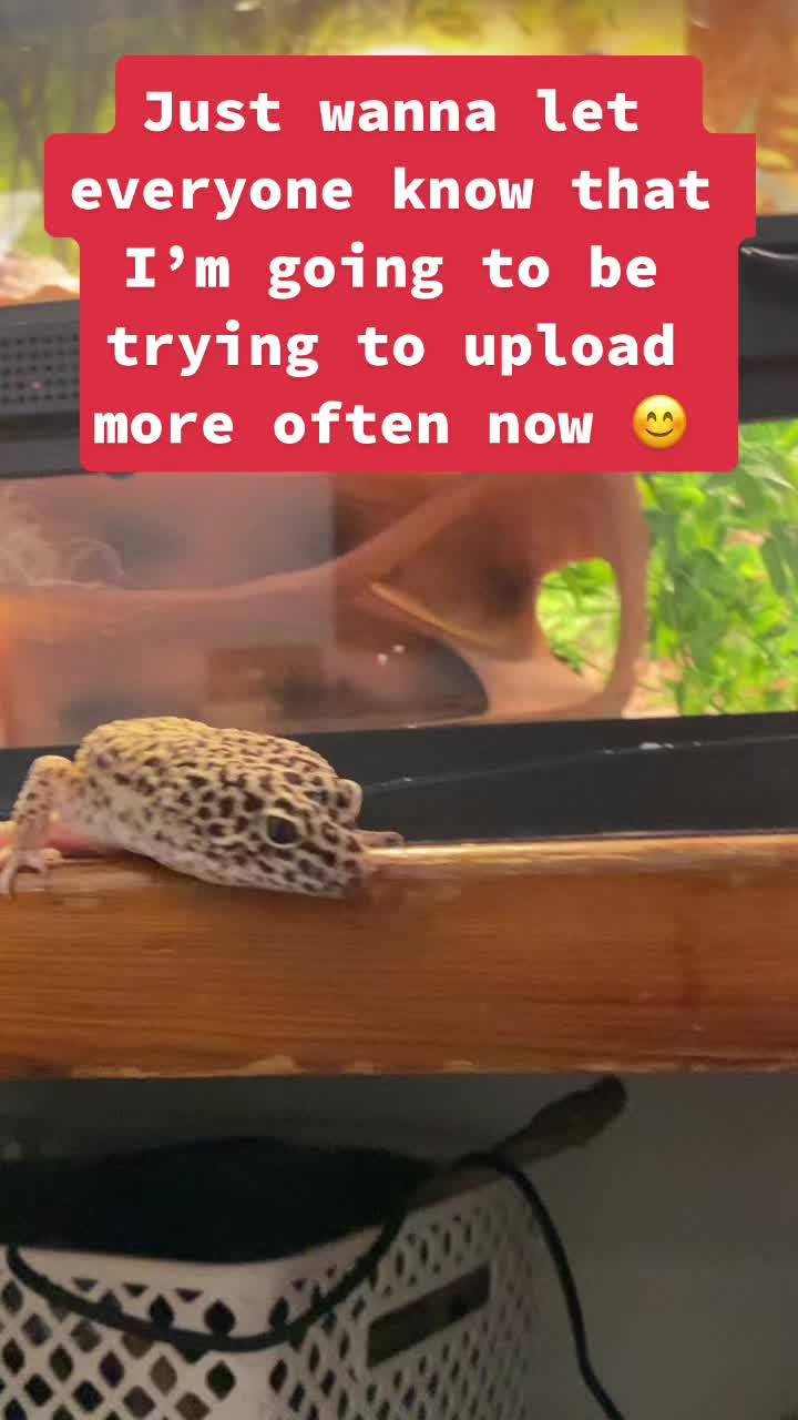 @Steve