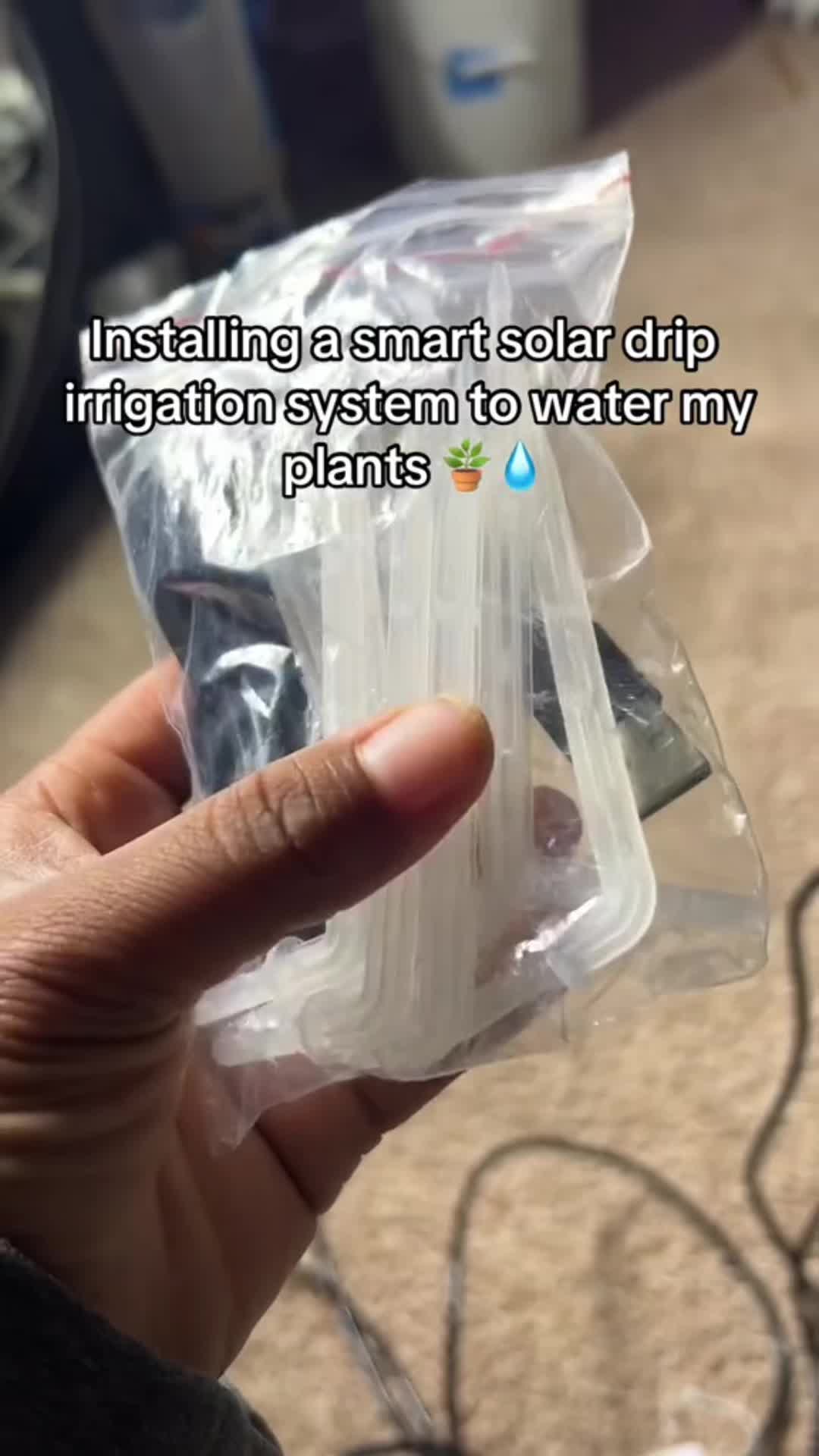 @PurpleLungz