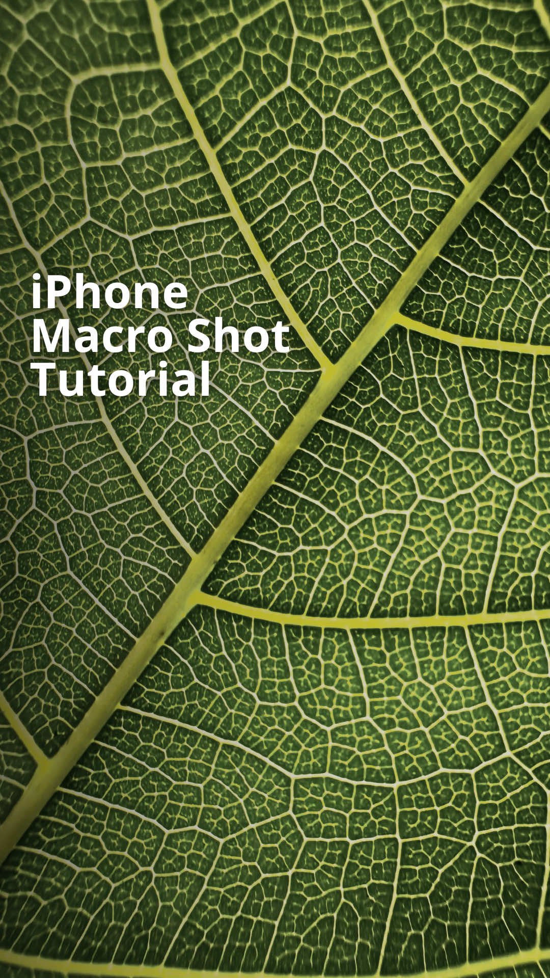 @iPhone Photography School