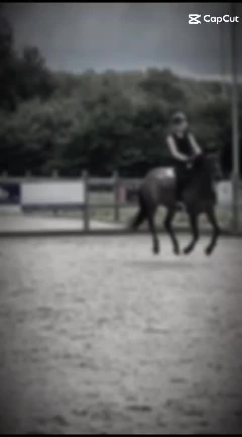 @Jumping Ponies 🔛🔝